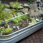 Create A Beautiful Garden With These Great Tips