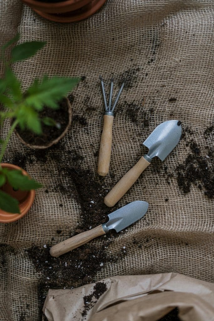 Essential beginner gardening tools.