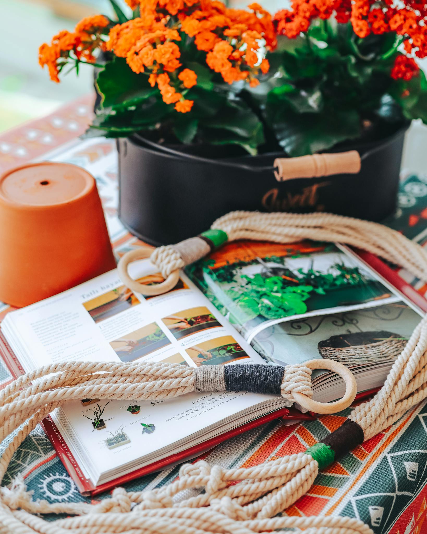 Vibrant scene with open gardening book, flowers, rope, and terra cotta pot, perfect for horticulture themes.